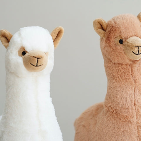 Dog Toys