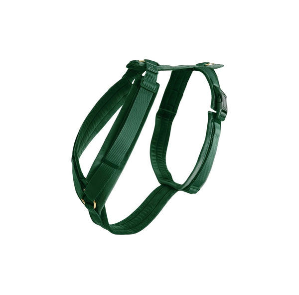 Dog Harness Active Velvet Pine Green