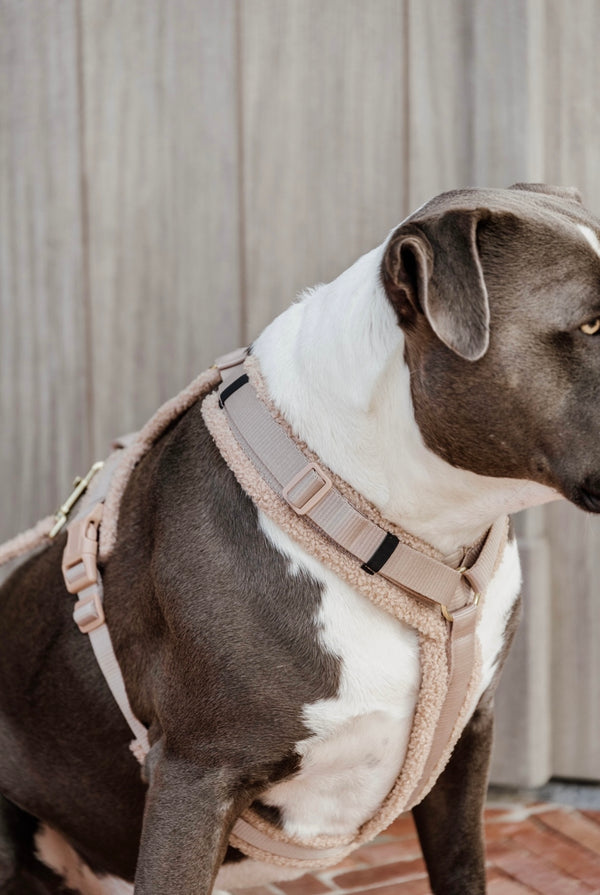 Dog Harness Active Teddy Fleece Beige