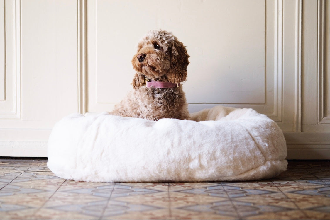 Alpaca Dream Dog Bed Nugget Nielsen