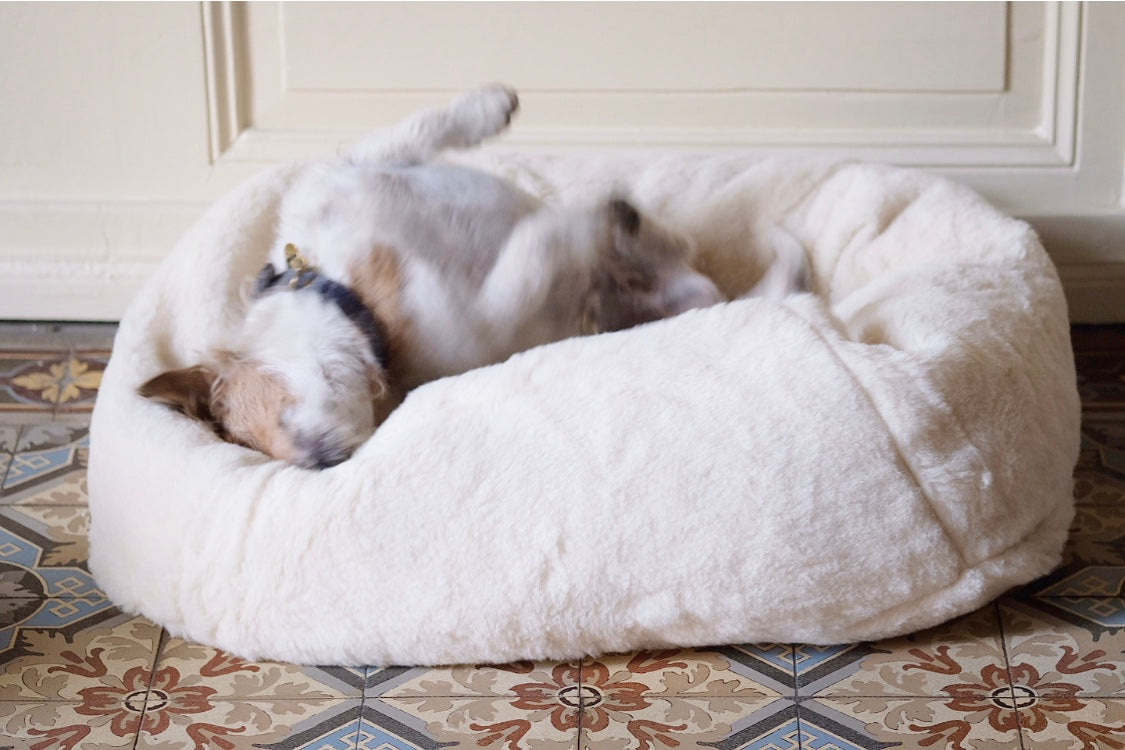 Alpaca Dream Dog Bed Nugget Nielsen