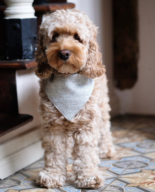 Tweed Bandana Light Grey