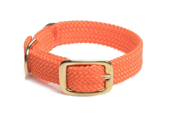 Dog Collar Orange