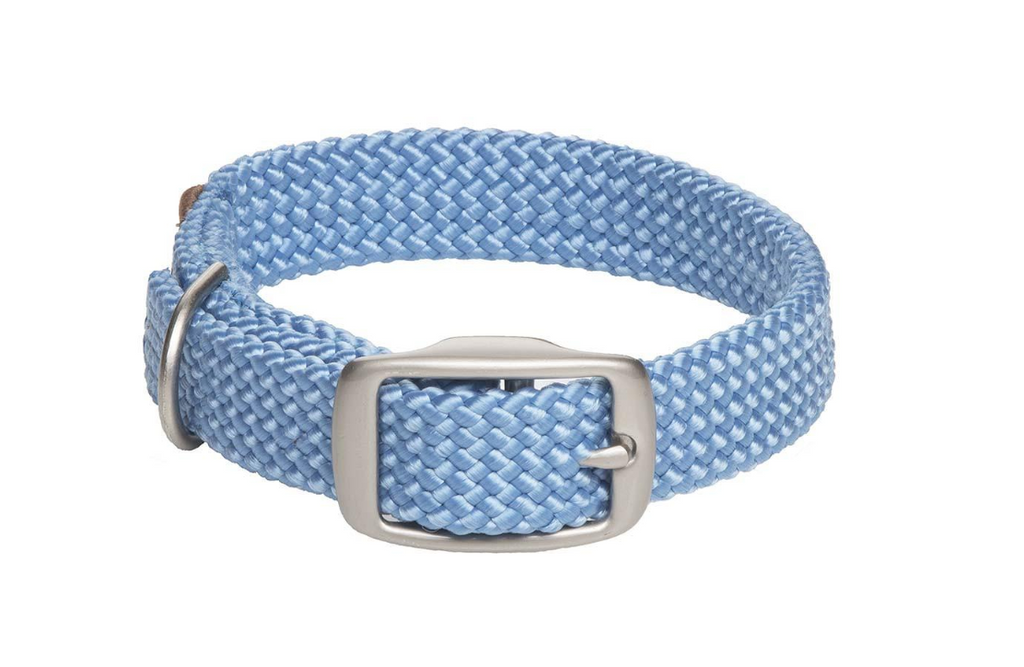 Dog Collar Baby Blue