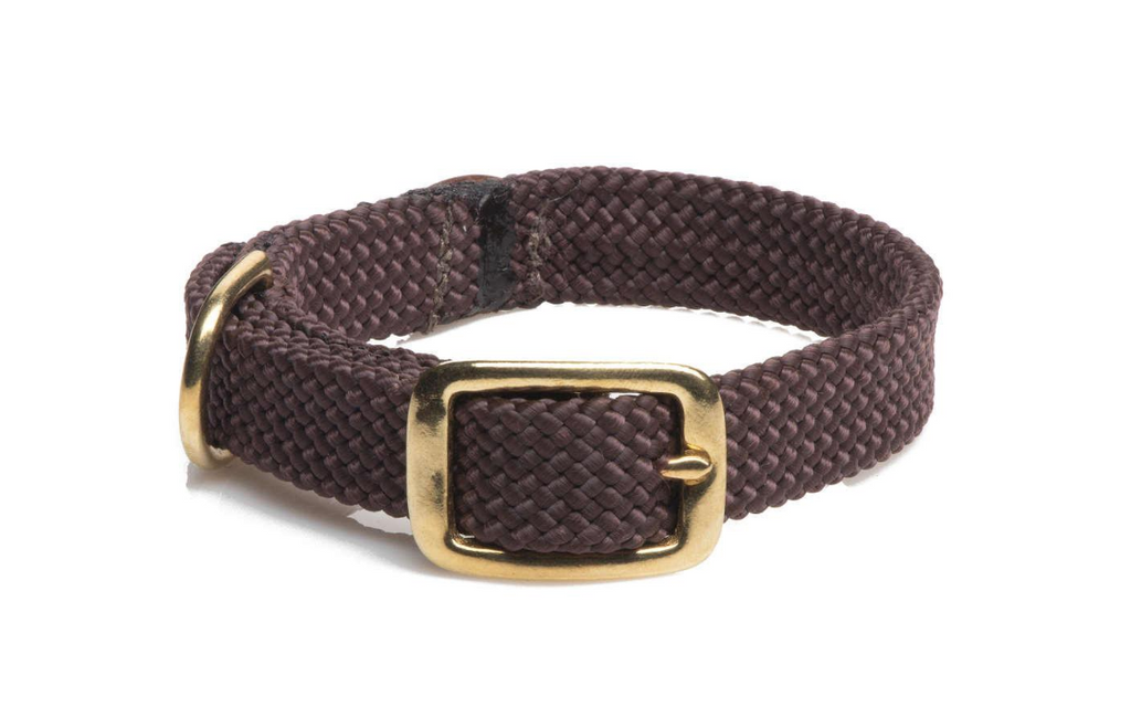 Dog Collar Brown