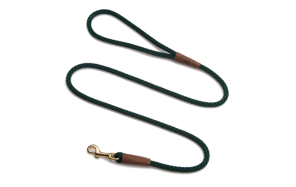 Dog Leash Green