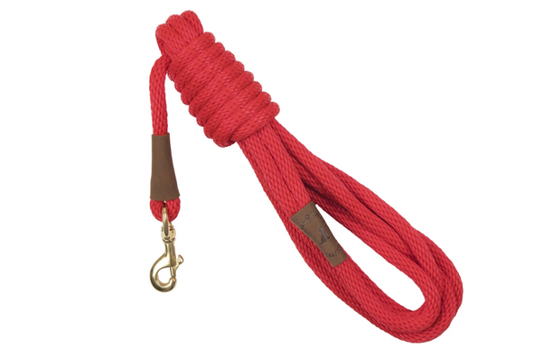 Long Dog Leash Red