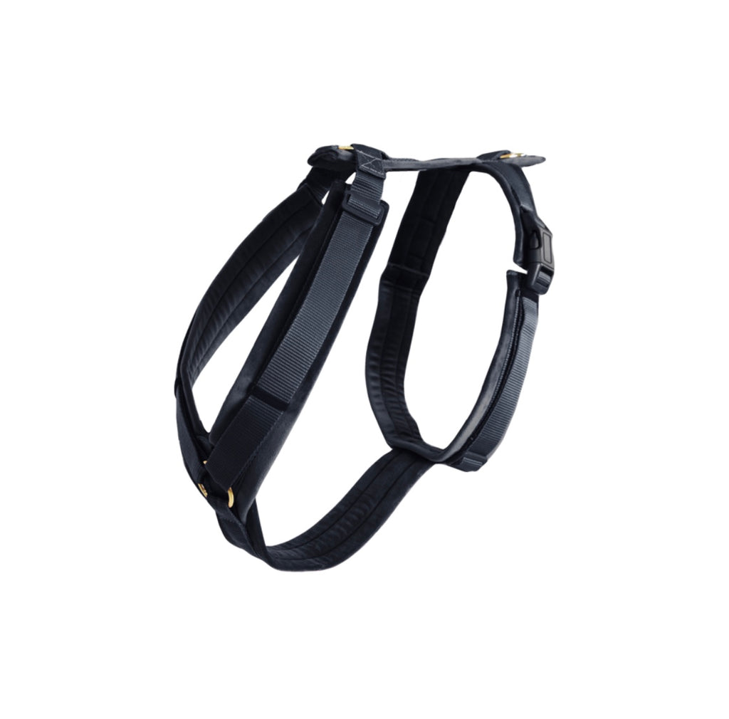 Dog Harness Active Velvet Black