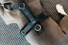 Dog Harness Active Velvet Black