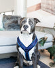 Dog Harness Active Velvet Navy