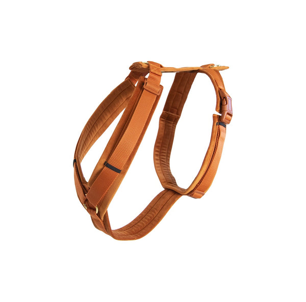 Dog Harness Active Velvet Orange