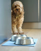 Felted Dog Bowl Mat Blue