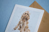 Greeting Card Cockapoo