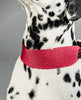 Dog Collar Jacquard Pink
