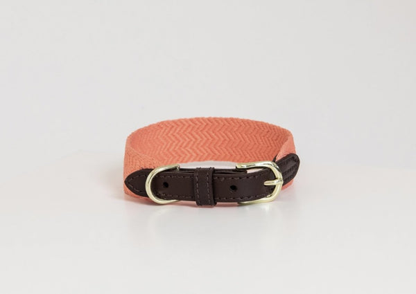 Dog Collar Jacquard Neon Orange