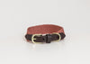 Dog Collar Jacquard Terracotta