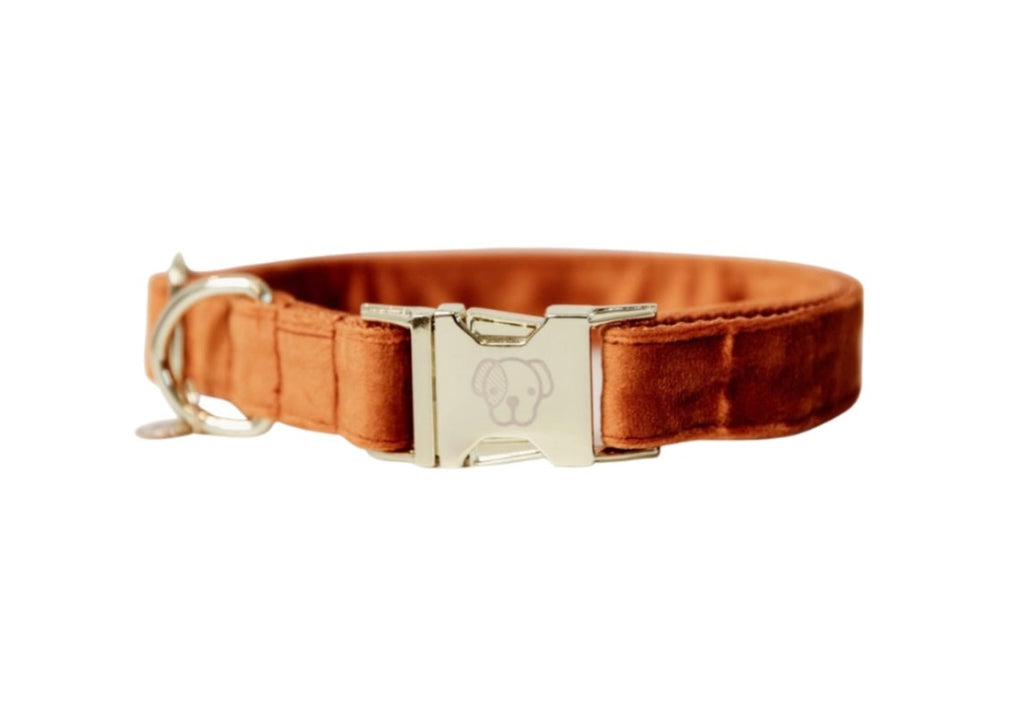 Dog Collar Velvet Orange