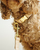 Dog Leash Wool Beige