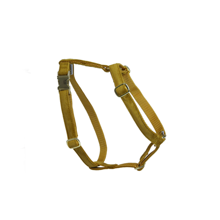 Mustard 2024 dog harness