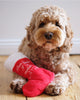 Plush Good Dog Stocking