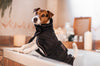 Dog Bathrobe & Towel