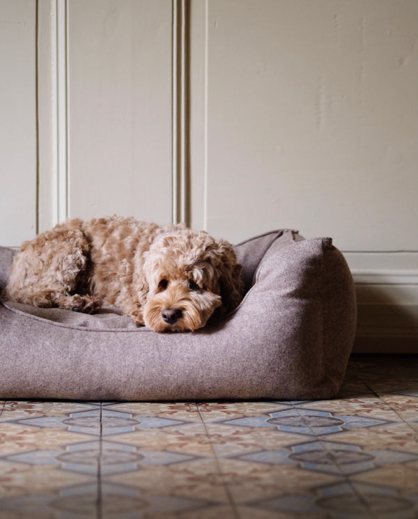 Dog Bed Anton Taupe