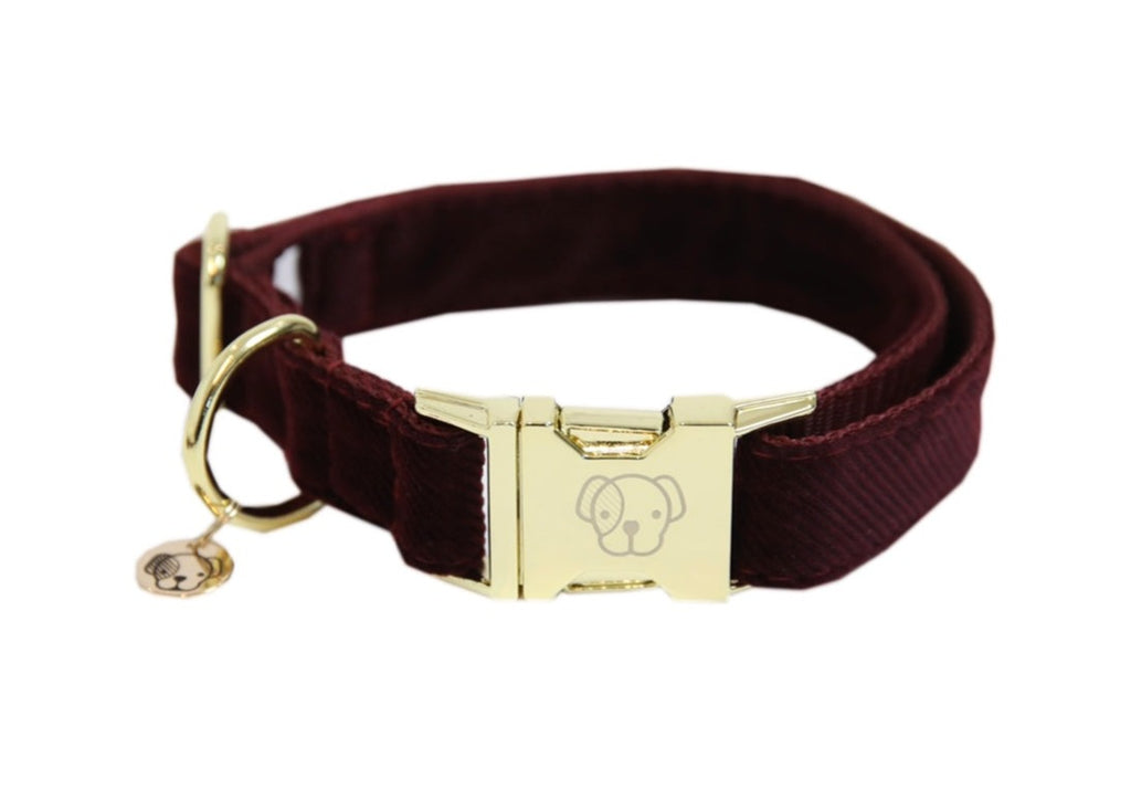 Dog Collar Corduroy Bordeaux