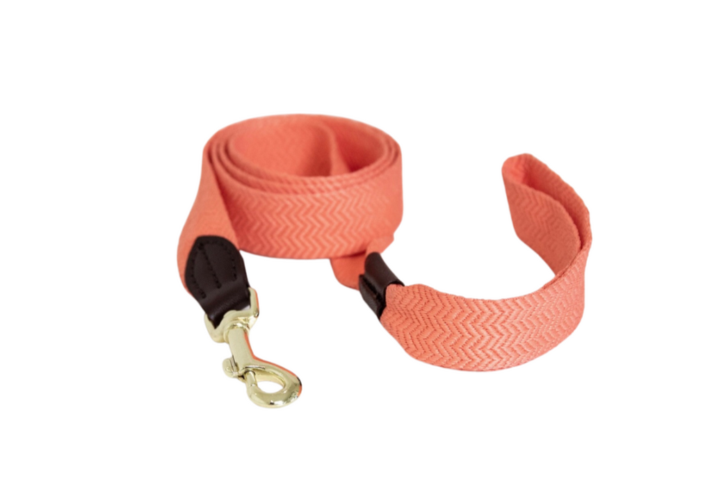 Dog Leash Jacquard Neon Orange