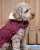 Dog Coat Bordeaux