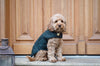 Dog Coat Dark Green