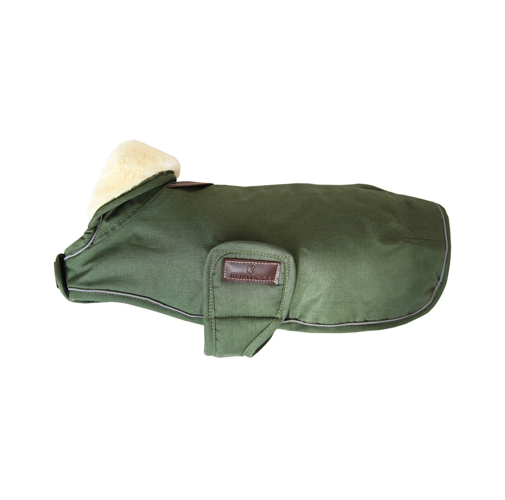 Dog Coat Waterproof