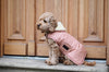 Dog Coat Waterproof Corall