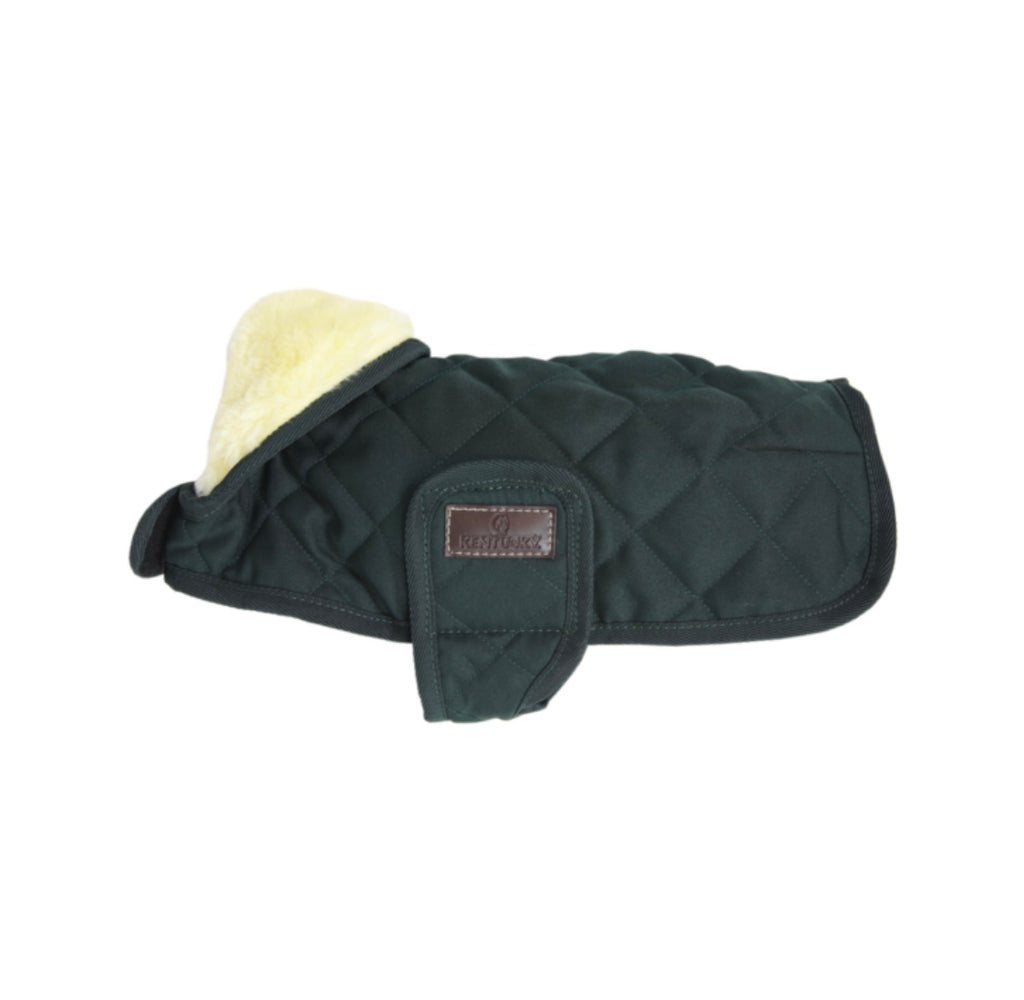 Dog Coat Dark Green