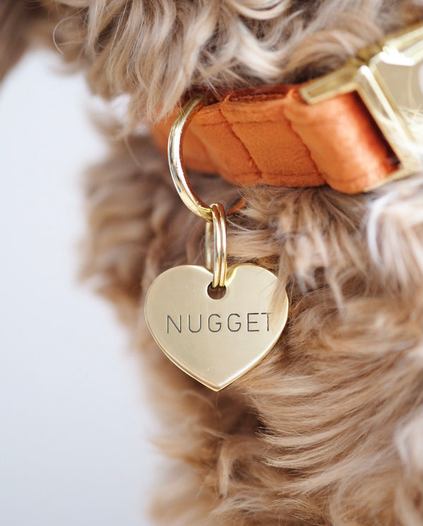 Heart Shaped Brass Dog Tag - Regular