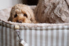 Travel Dog Bed Hamptons Beige