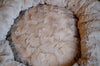 Travel Dog Bed Hamptons Beige