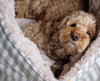 Travel Dog Bed Hamptons Beige