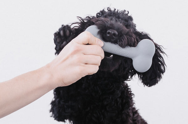 Dog Toy Silicone Bone