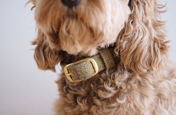 Tweed Dog Collar Beige