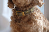 Tweed Dog Collar Green