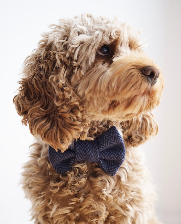 Bow Tie Herringbone Navy