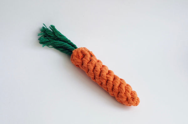 Carrot Cotton Rope Dog Toy
