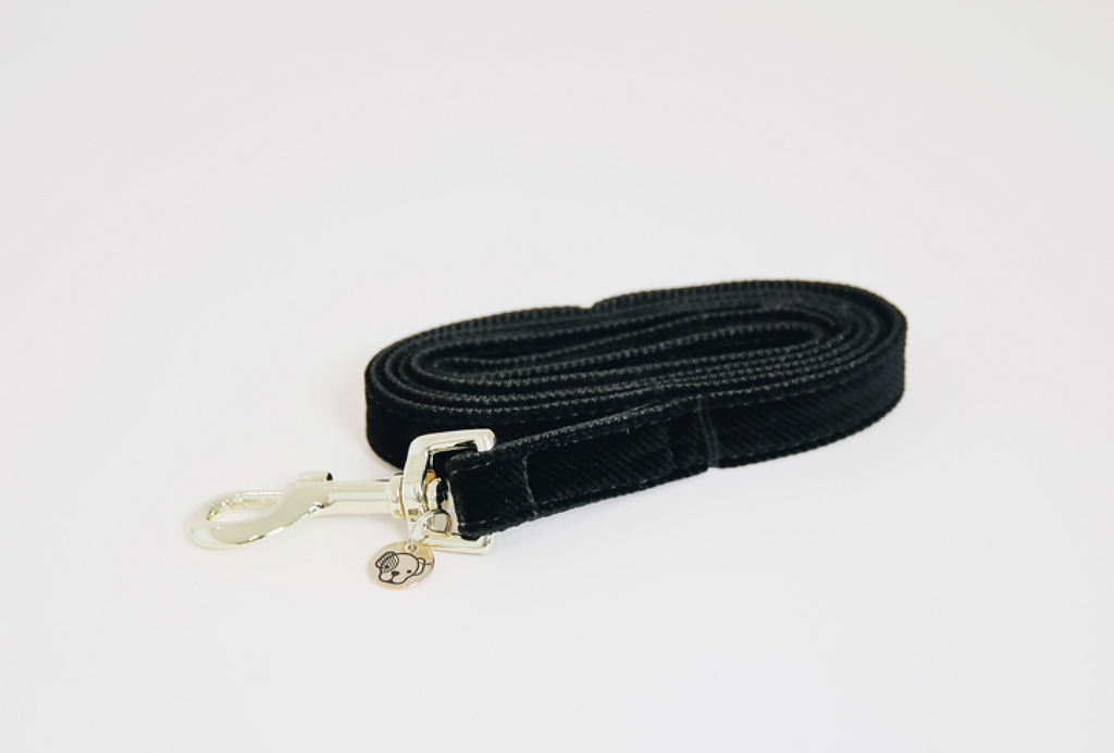 Dog Leash Corduroy Dark Green