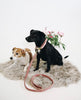 Dog Leash Velvet Old Rose