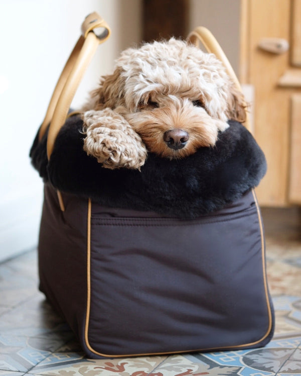 Discreet dog carrier hotsell