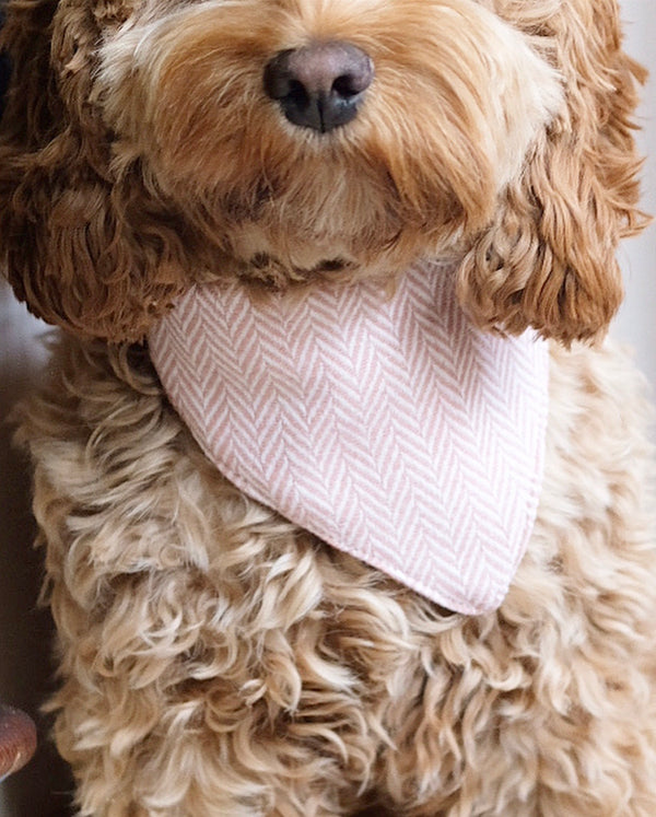 Tweed Bandana Rose