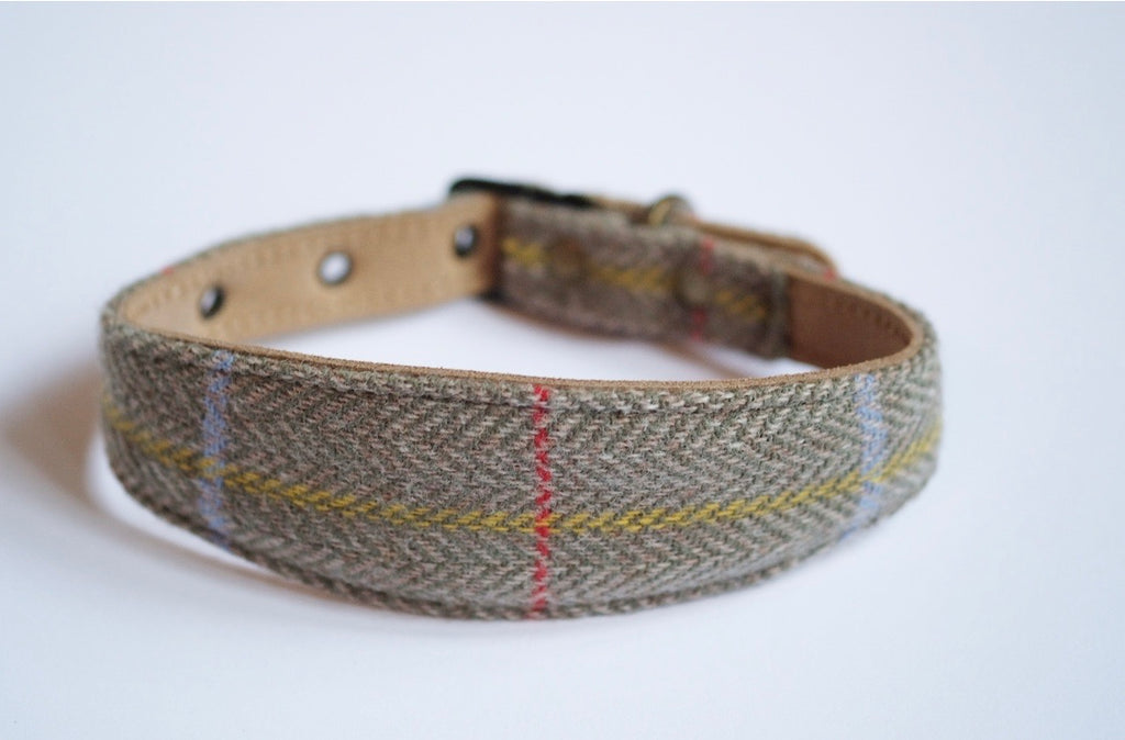 Tweed Whippet Collar Sage