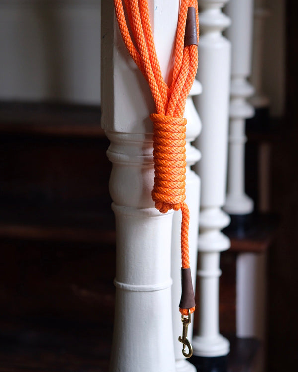 Long Dog Leash Orange