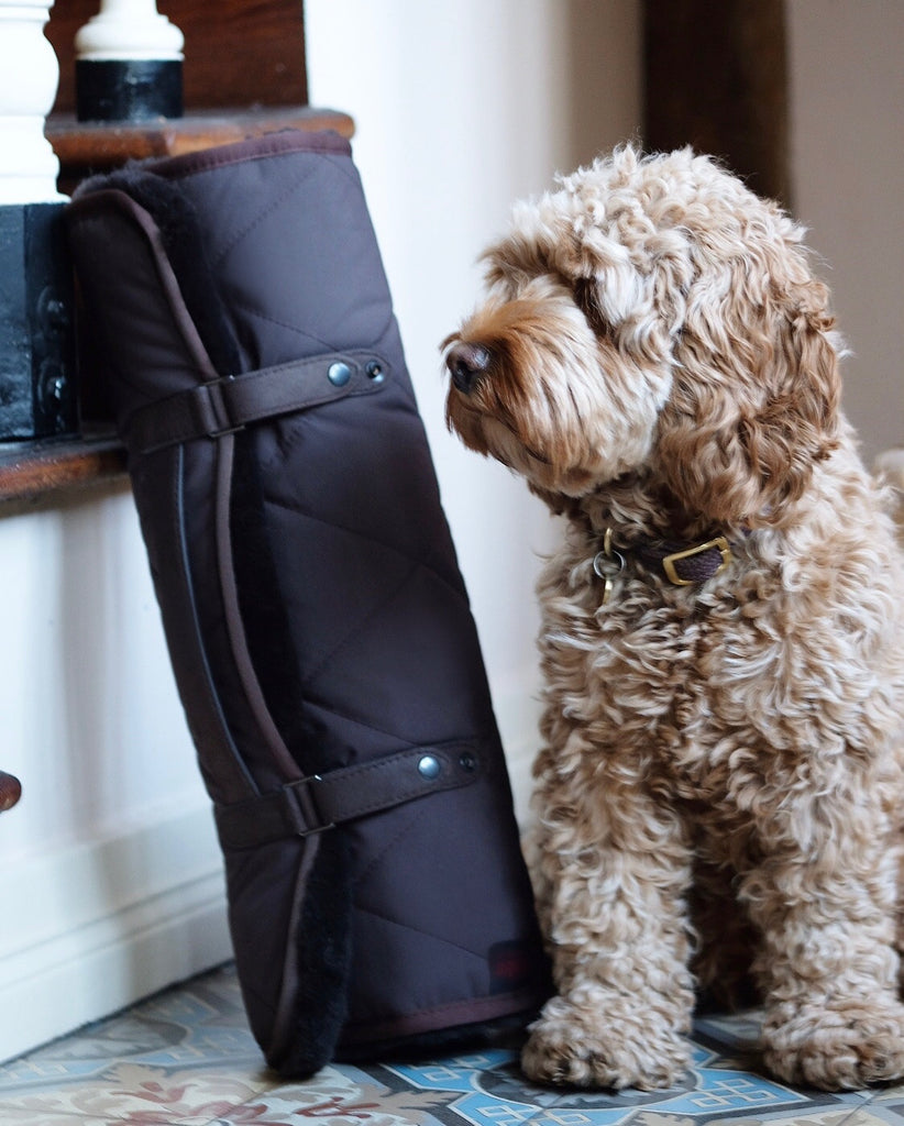 Travel Dog Bed Shearling