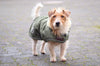 Dog Coat Waterproof